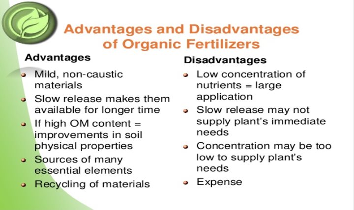 disadvantages-of-organic-food-pdf-food-ideas