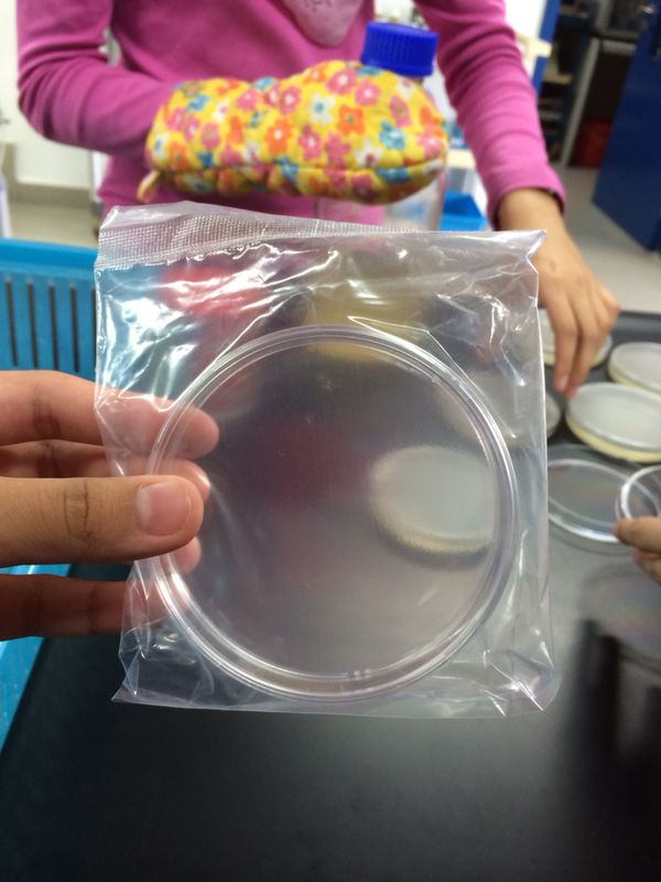 Science Project at emaze Presentation