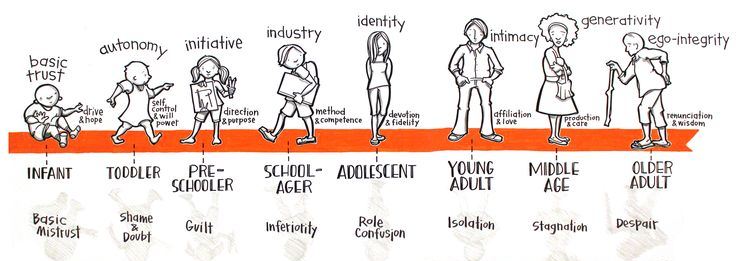 Stages Of Lifespan Development Chart