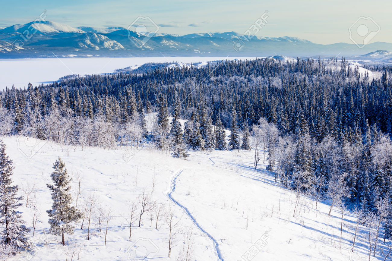 Yukon frost penetration
