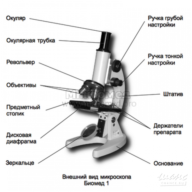 Из каких частей состоит схема