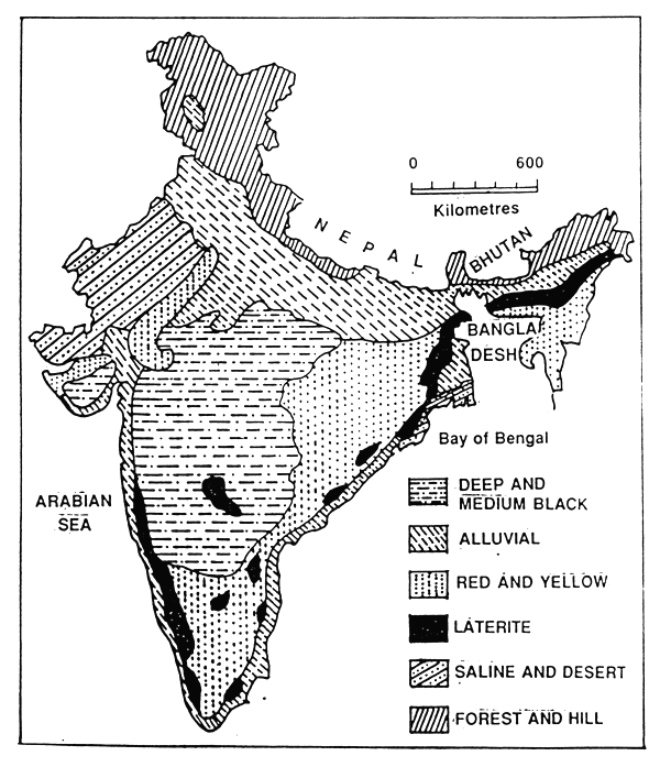 soil-map-of-india-define-types-of-soils-in-india-58-off