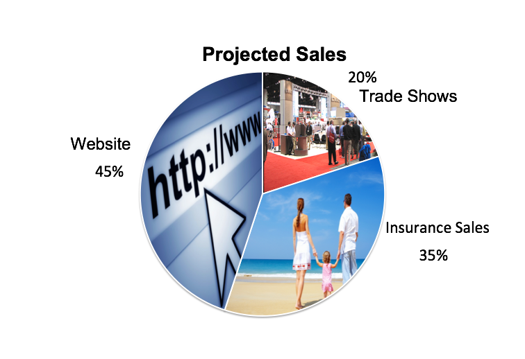 Vitality business plan picture