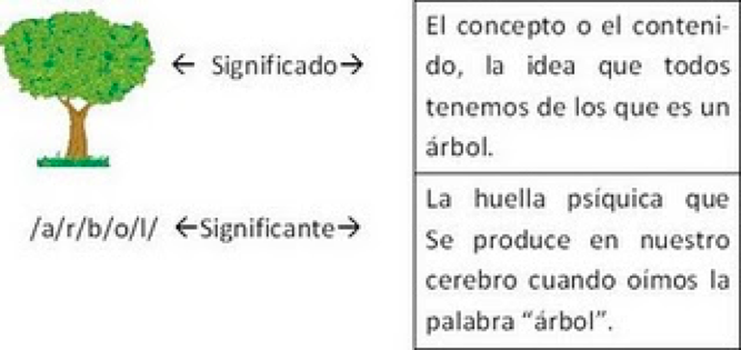 Cetosis significado definición