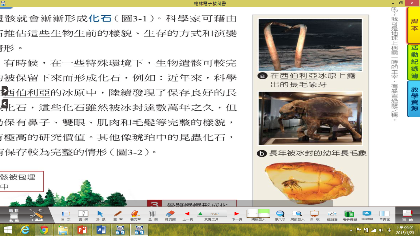 生物3-1.pptx by s125251 on emaze