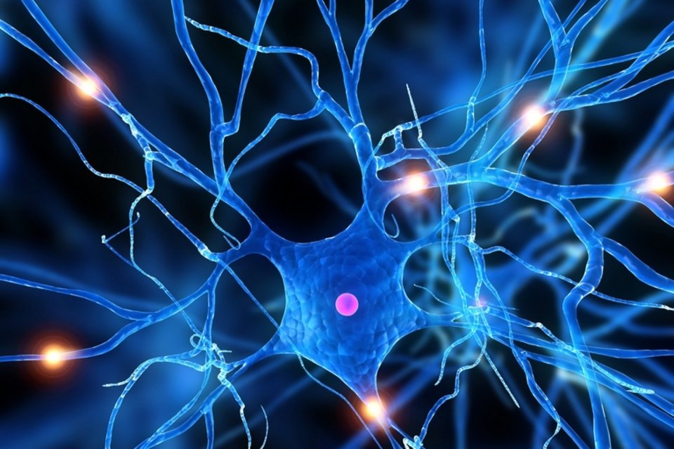 Healthy Foods For A Normal Functioning Memory