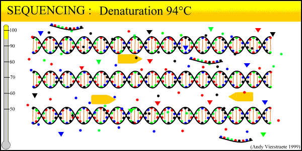 Догги стиліндегі ақ трусики әйелдердің фотосуреттері