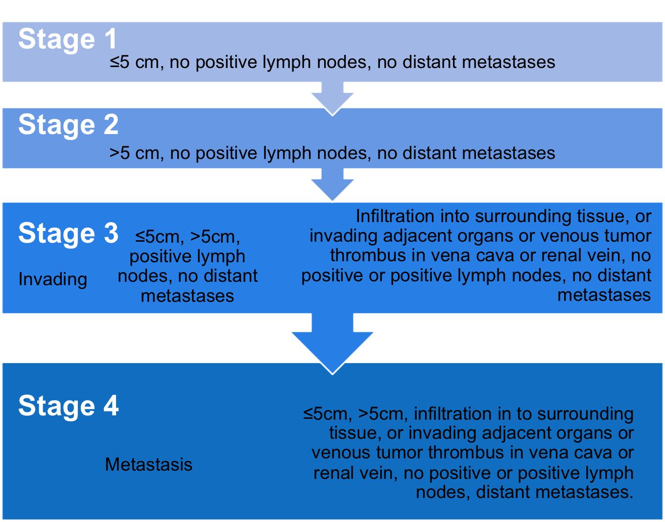 adrenal-carcinoma-on-emaze