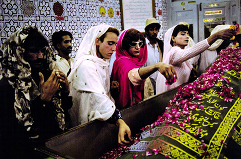 Hijra female showing her organs video