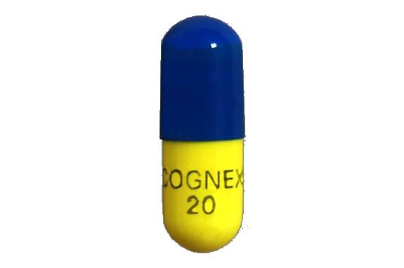 Alzheimer's Disease on emaze Alzheimer's Disease on emaze