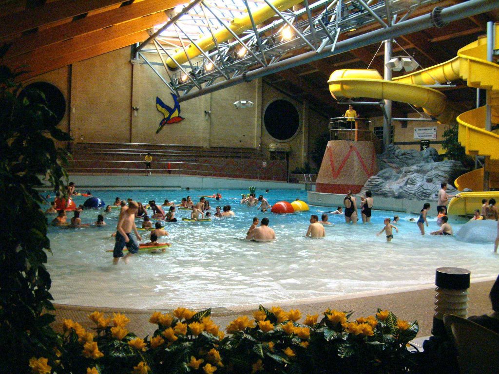 Kingfisher at emaze Presentation