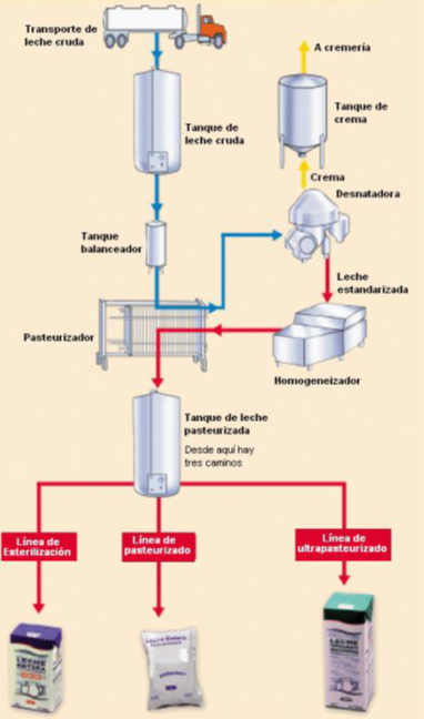 Diagrama Del Flujo De Proceso De La Leche Pasteurizada Pdf Images 2181