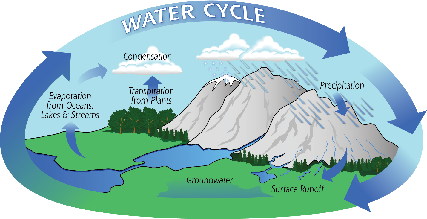 the-water-cycle-on-emaze