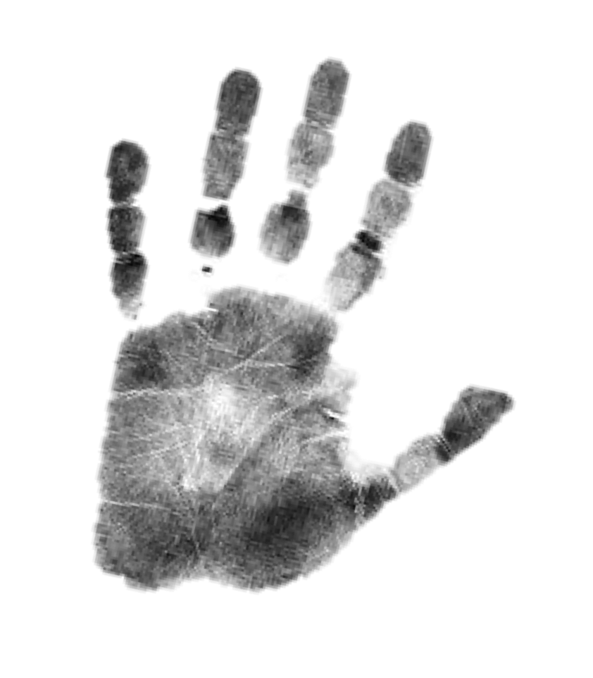 Forensic Psychology by hwareham6431 on emaze