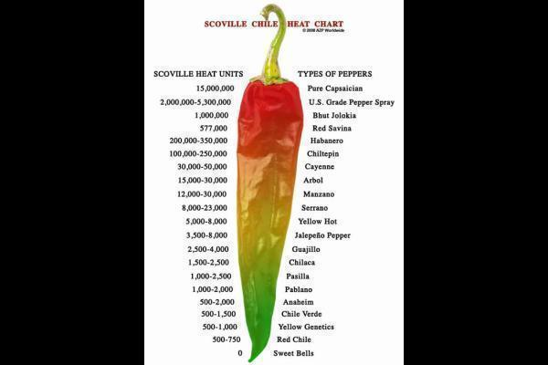 Arya's Science project on peppers on emaze