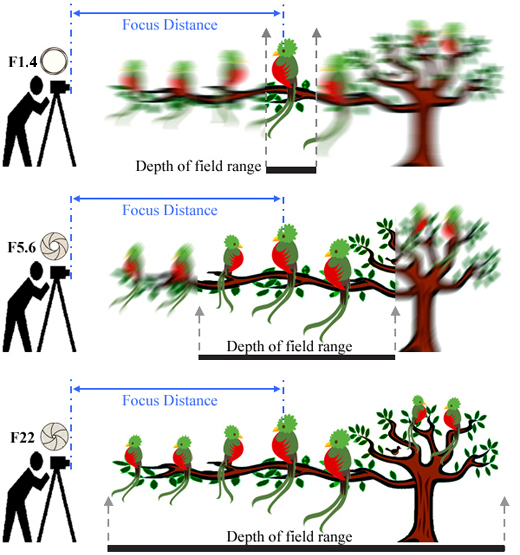 Dept of field at emaze Presentation