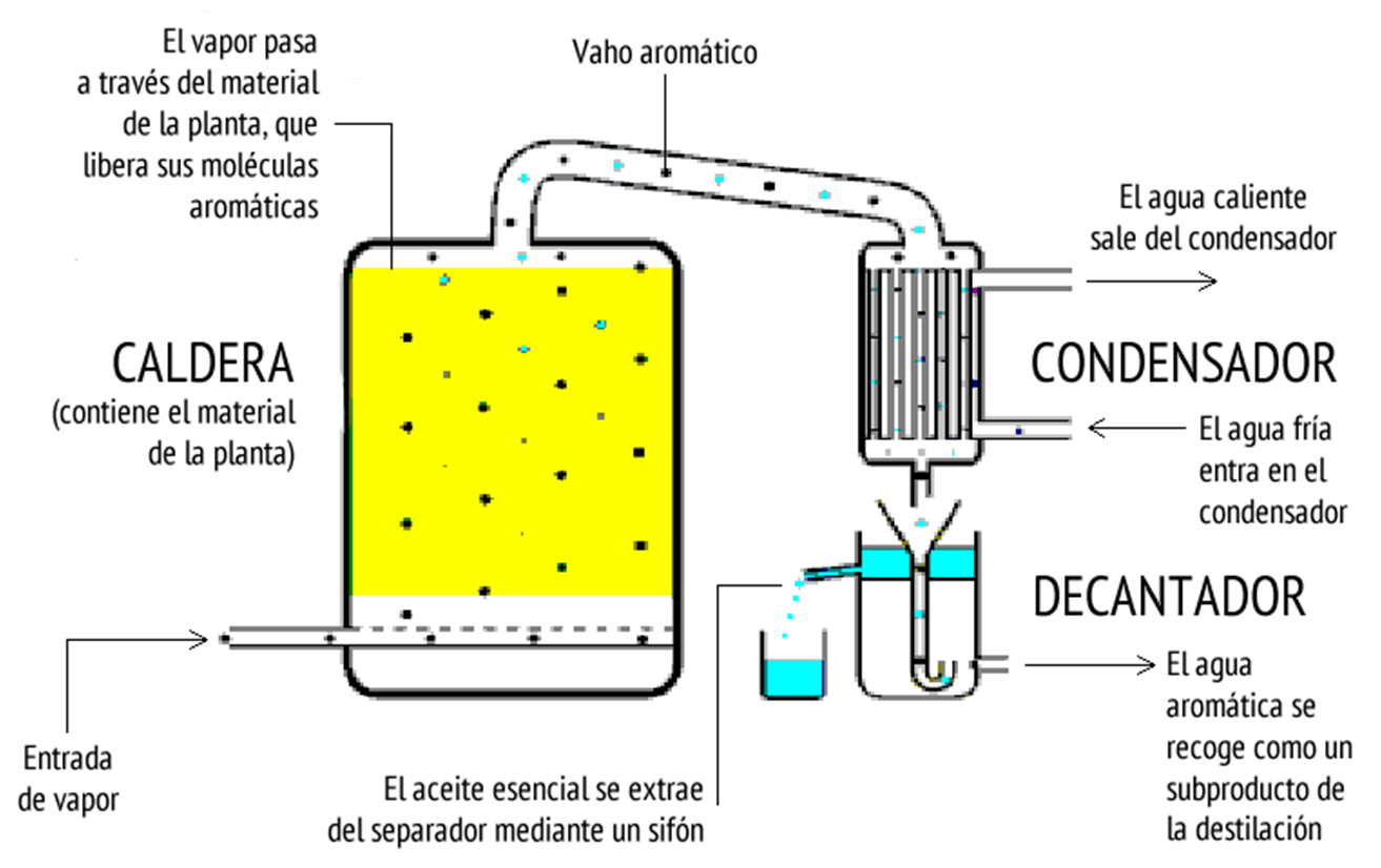 Steam distillation of oil фото 81