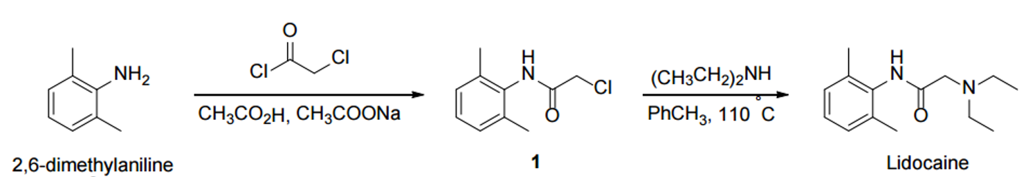 Lidocaine On Emaze