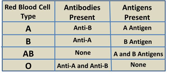Blood Group Antigen And Antibody Chart