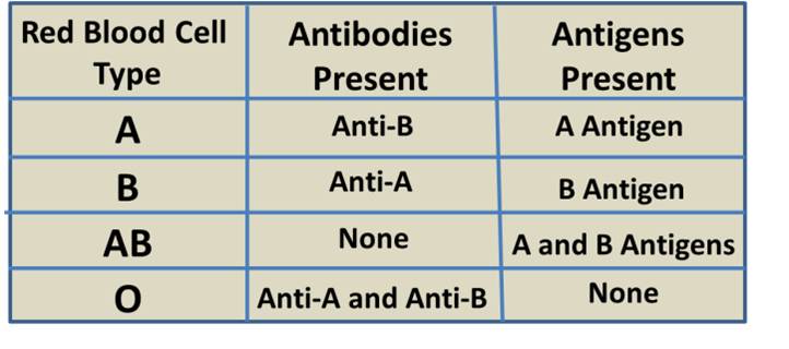 Antigens And Antibodies In Blood Chart