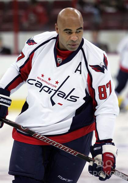 Donald Brashear хоккеист