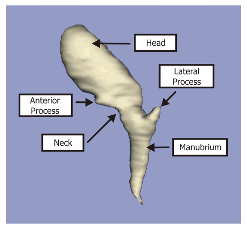 anvil ear part anvil ear part