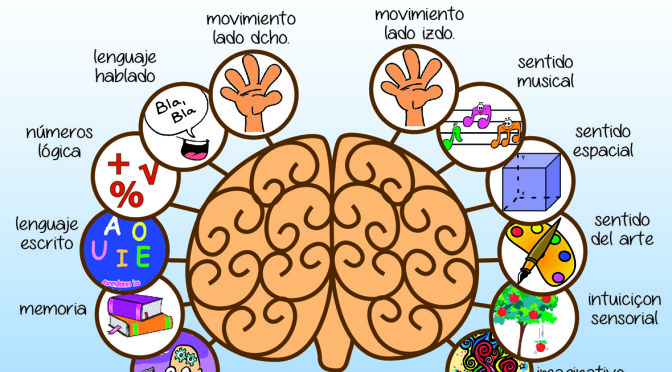 Asimetr A Funcional Cerebral At Emaze Presentation