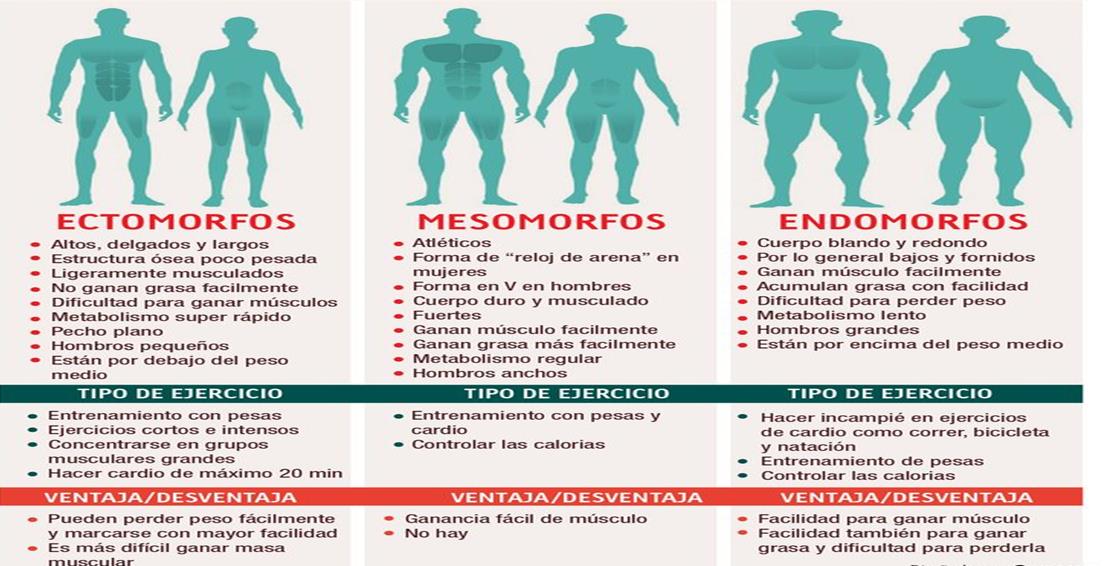 sabes Comer Según Tu Biotipo Tipos De Corpo Masculino Corpo Images