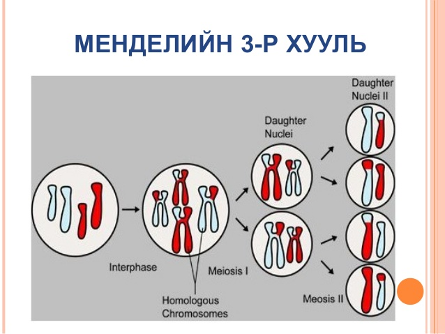 bio.pptx on emaze