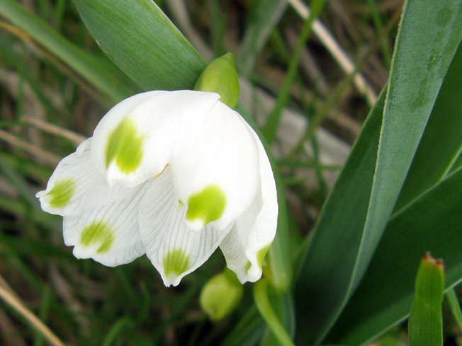 PROLJETNICE on emaze