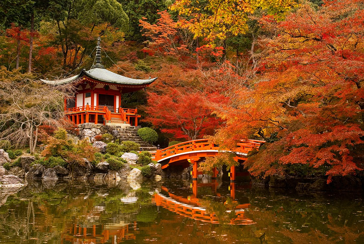 The Hyakunin-isshu｜A Hundred Verses from Old Japan