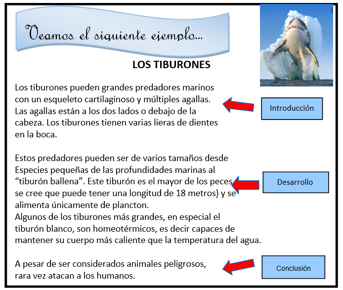 El Tipos De Textos At Emaze Presentation