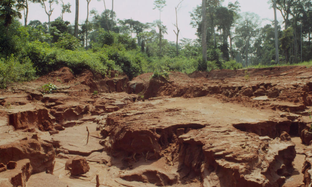 the-horrifying-environmental-impacts-of-worsening-erosion