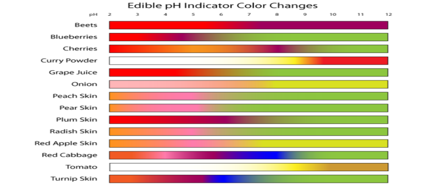 pH indicator