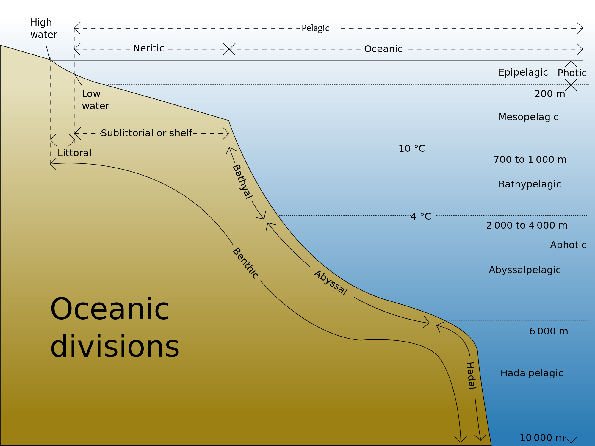 Abyssal Plains At Emaze Presentation sea-animals-facts-list-pictures-and-more