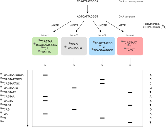 Presentation Name on emaze