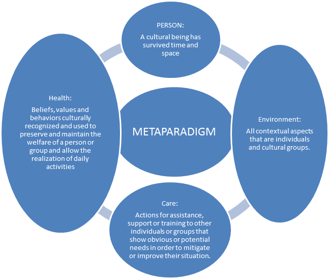 what is the metaparadigm of nursing