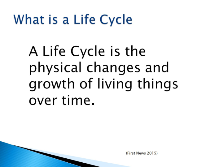 Presentation Name on emaze