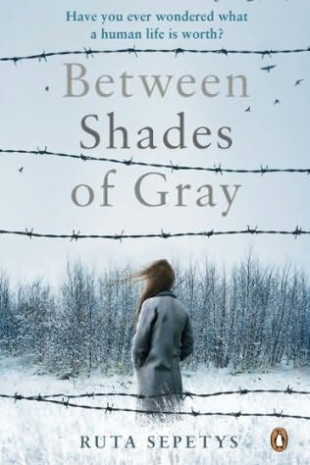 Between shades of gray book