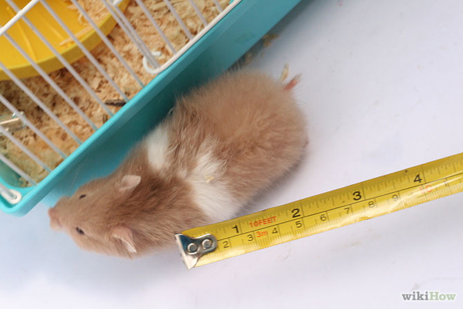 Presentation Name at emaze Presentation