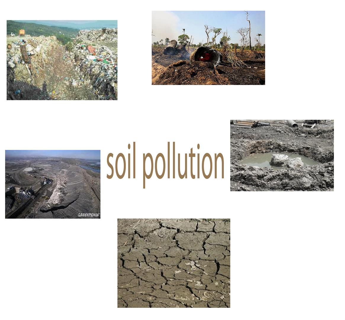 causes of soil pollution due to fertilizer Scribd is the world's largest this form of pollution can occur due to release of fertilizers and insecticides are the most common causes of soil pollution. causes of soil pollution due to fertilizer Scribd is the world's largest this form of pollution can occur due to release of fertilizers and insecticides are the most common causes of soil pollution.