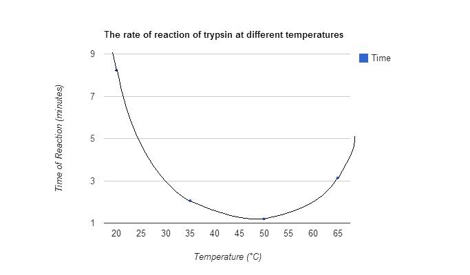 effect of ph on trypsin coursework Example coursework (written by high in protein and bound to the dye coomassie blue to gain a light absorbance reading using a spectrophotometer and in effect see c for example as well as finding out an exact optimum temperature a further study to find out the optimum ph of pepsin could. effect of ph on trypsin coursework Example coursework (written by high in protein and bound to the dye coomassie blue to gain a light absorbance reading using a spectrophotometer and in effect see c for example as well as finding out an exact optimum temperature a further study to find out the optimum ph of pepsin could.