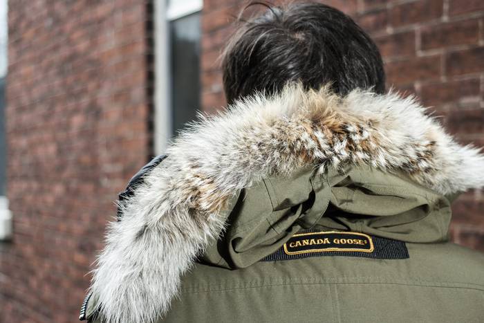 canada goose use of fur canada goose use of fur