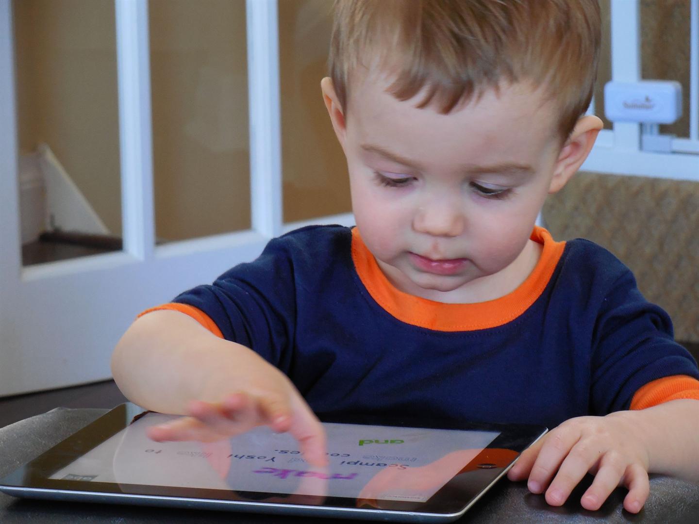 Comprehensive Literacy-Four Roles of the Literate Learner at emaze ...