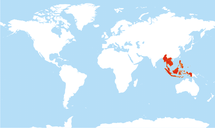 2004 Indian Ocean Tsunami On Emaze