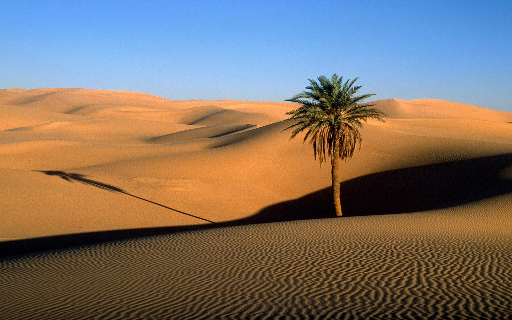 desert-biome-presentation-on-emaze