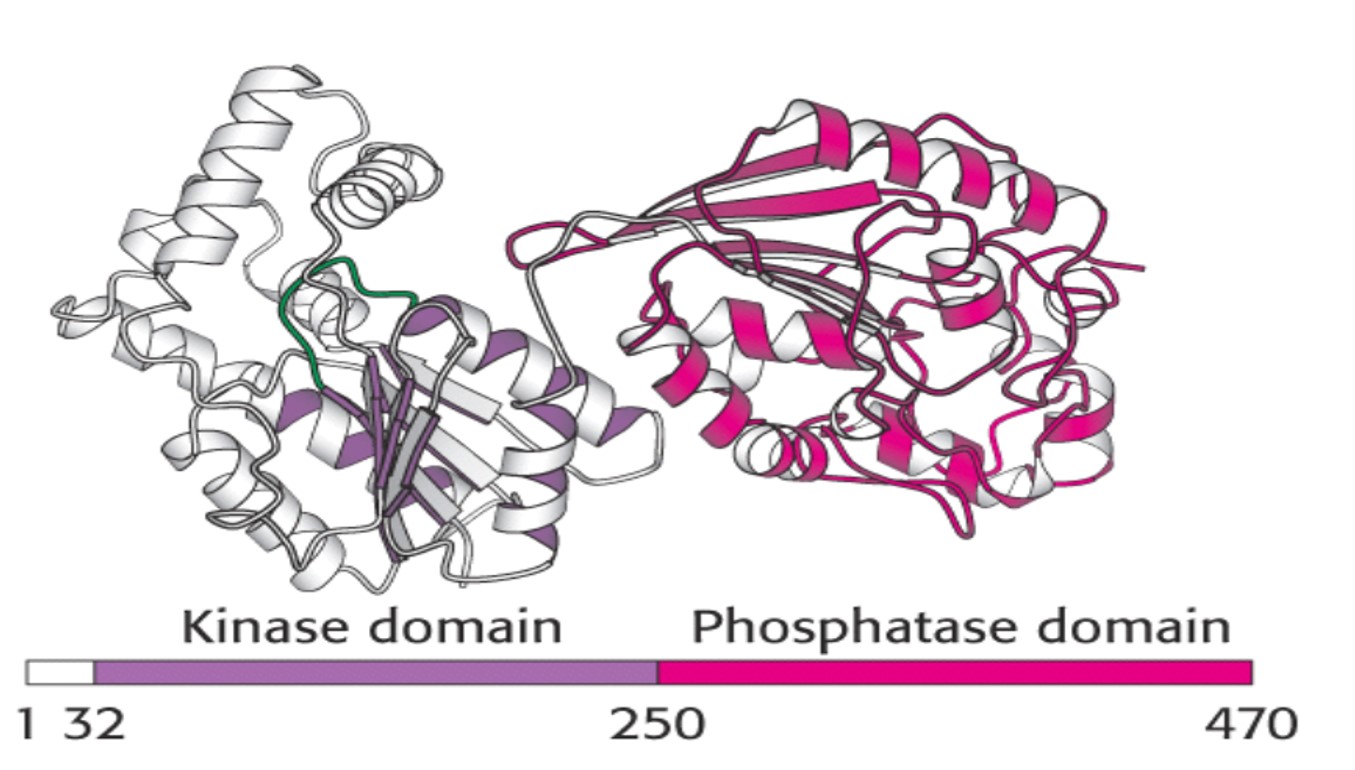 Presentation Name on emaze