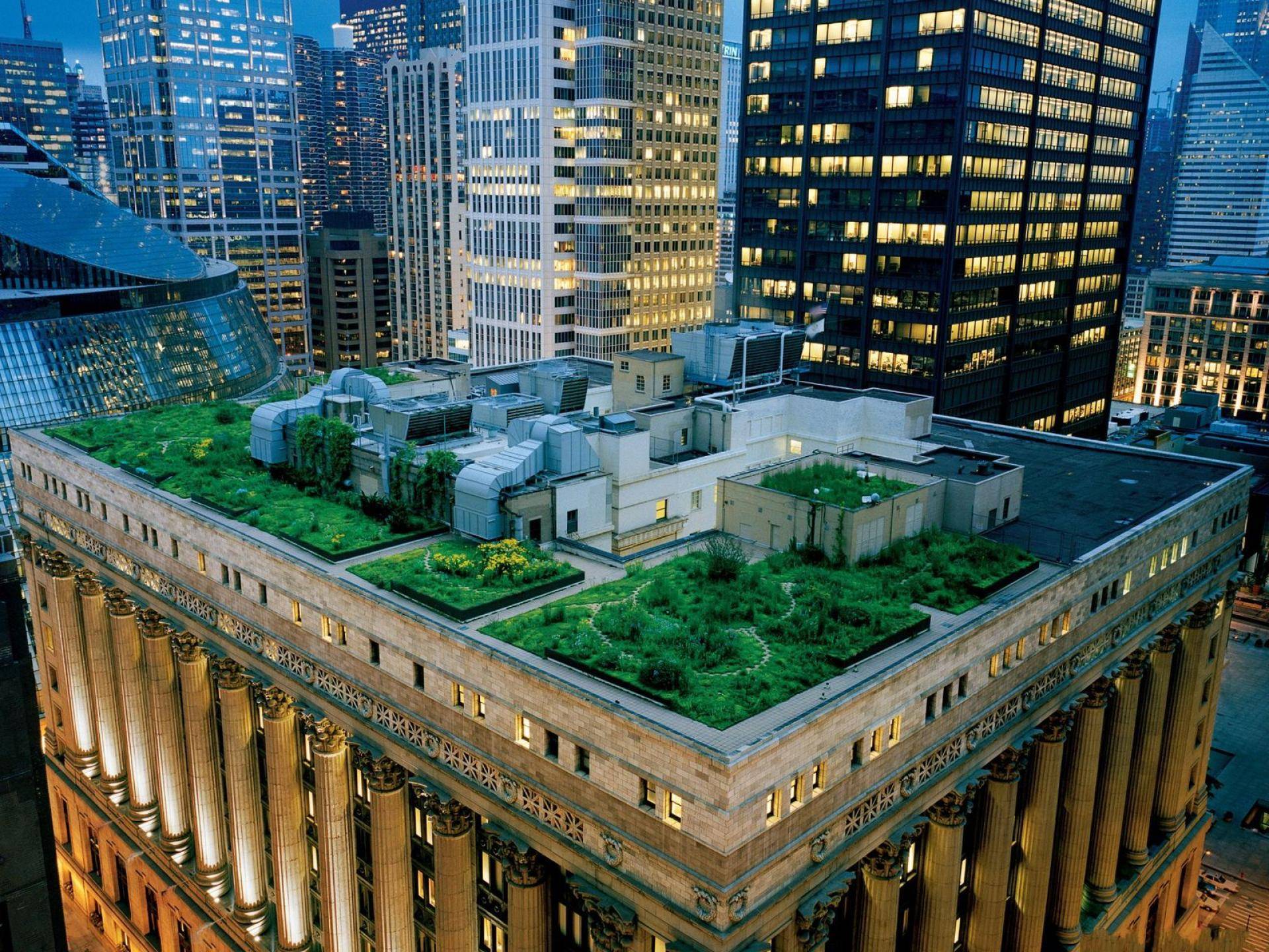 Rooftop Garden rooftop gardens copy1 copy1 on emaze Rooftop Garden rooftop gardens copy1 copy1 on emaze