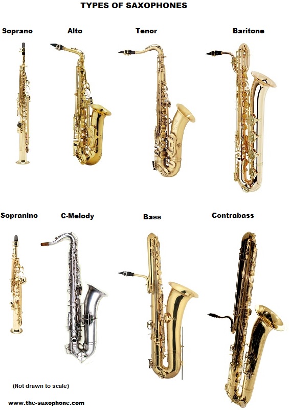 saxophone on emaze