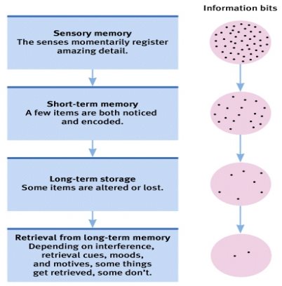 Module 7 Memory at emaze Presentation